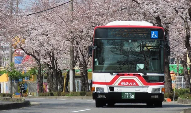 桜並木を走るバス