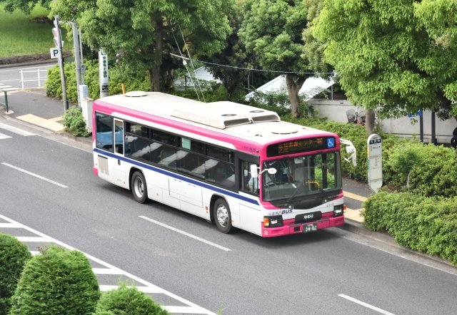 3536579_s.jpg