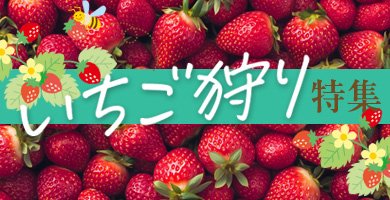 いちご狩り