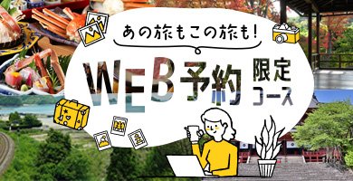 WEB限定
